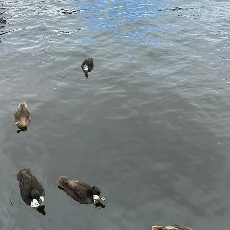 Premium Hausboot Blaue Lagune